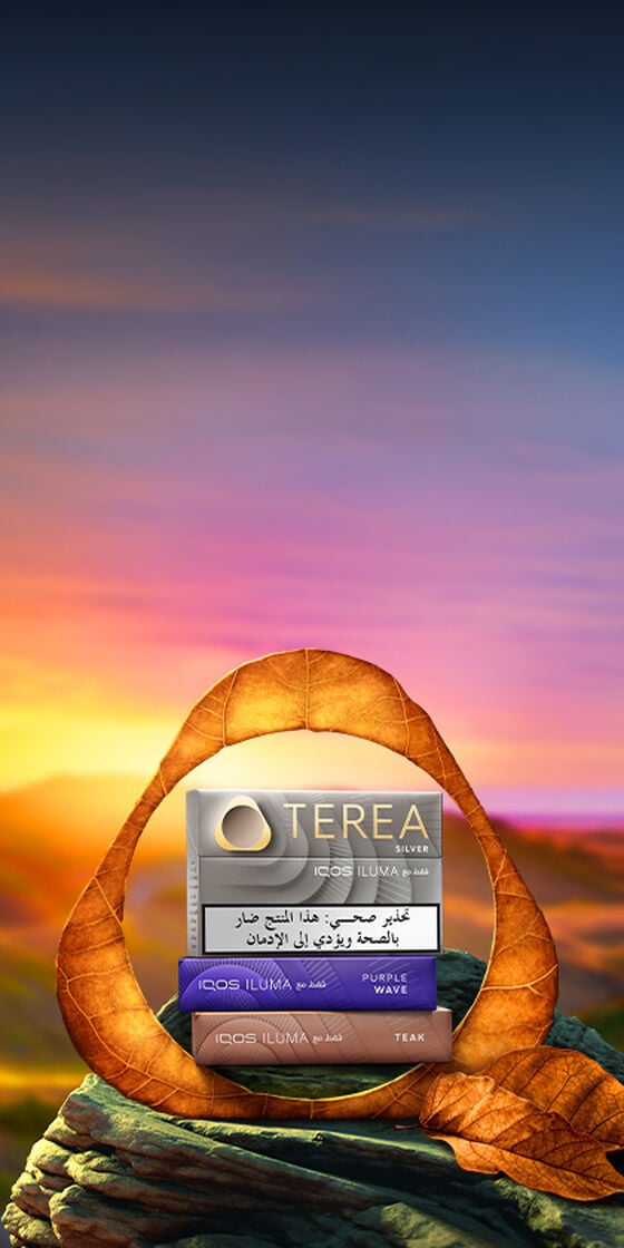 Seven IQOS ILUMA TEREA packs on a turquoise background