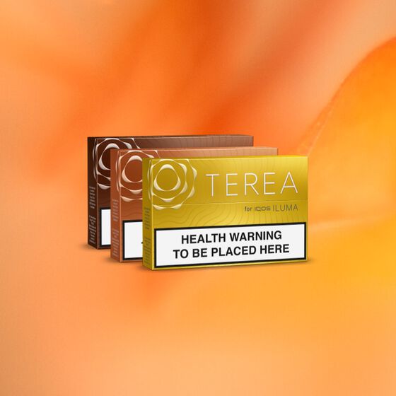 علب لفائف التبغ المسخّن TEREA