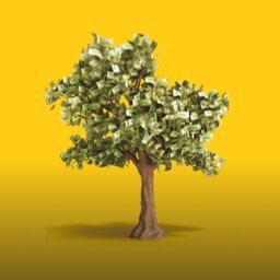 money tree